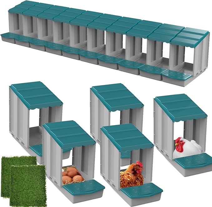 AUTENS Chicken Nesting Boxes, 10 Hole Laying Boxes,2 Nest Mat, Plastic Roll Away Chicken Nest Box, Egg Roll Out with Perch Eggs Protected Collection Area, Poultry Modular House Egg Coop Nest Perch