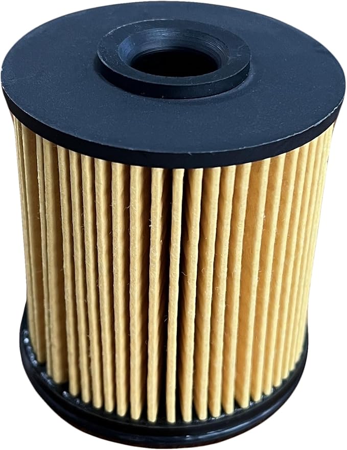 iFJF R12H (R12T Upgrade) Fuel Water Separator Filter Element 10 Micron Only Replacement for Our Own R12H Assembly for Marine or Automotive Replaces S3240 120AT NPT ZG1/4-19