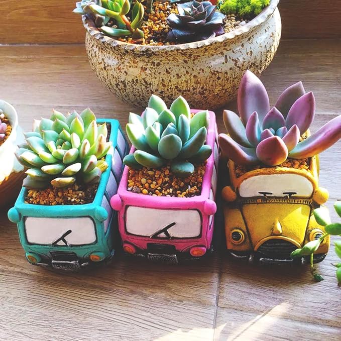 Cute Cacti & Succulent Plants Pot, Succulent Decor Planter Pot Indoor/Outdoor (Yellow)