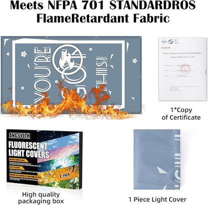 Fluorescent Light Covers - Classroom Covers for Ceiling Lights, 1 PCS 4 x 2 Feet Magnetic Light Filters, Classroom, Office Decor (You're Got This ！)