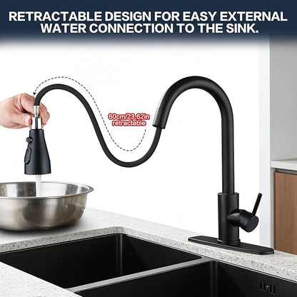 Kitchen Sink Faucet with Pull - Down Sprayer, 2 - Handle 3 - in - 1 Kitchen Sink Filter Faucet, Cold and Hot Mixer Drinking Water Faucet (Classic, Black-2)