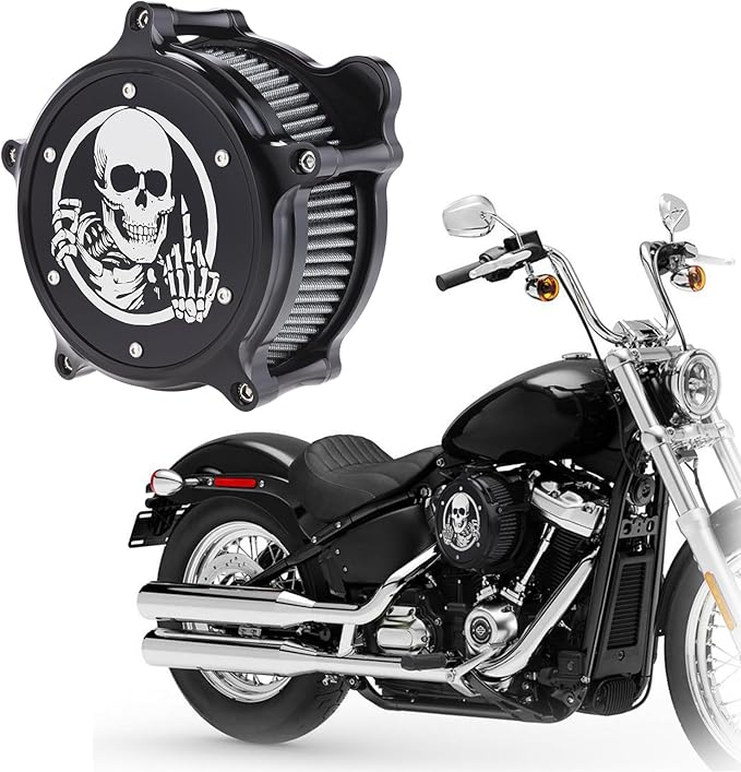 Motorcycle Air Filter Skull Style Air Cleaner with Filter Sock Dustproof Protective Cover Kit for Harley Touring 2000-07 Softail 2000-15 Dyna 2000-17, Excludes 2017 FXDLS (Black)