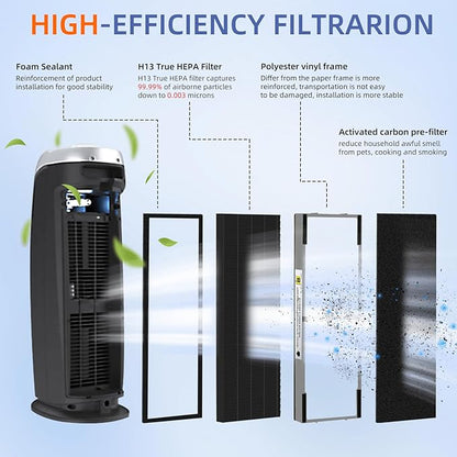 FLT4825SM HEPA Smoke Clear Filter B Replacement Compatible with G-Guardian Air Purifiers AC4825 AC4825E AC4825W AC4300 AC4800 AC4900 AC4850,2 H13 True HEPA Filters+8 Carbon Pre-Filters