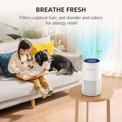 Air Purifier for Home Bedroom, AromaRoom H13 HEPA Air Filter For Smoke Pollen Dander Hair Smell Air Cleaner, 3-in-1 Filter with Sleep Mode, Quiet Air Cleaner For Pets, Home, Baby Room (White)