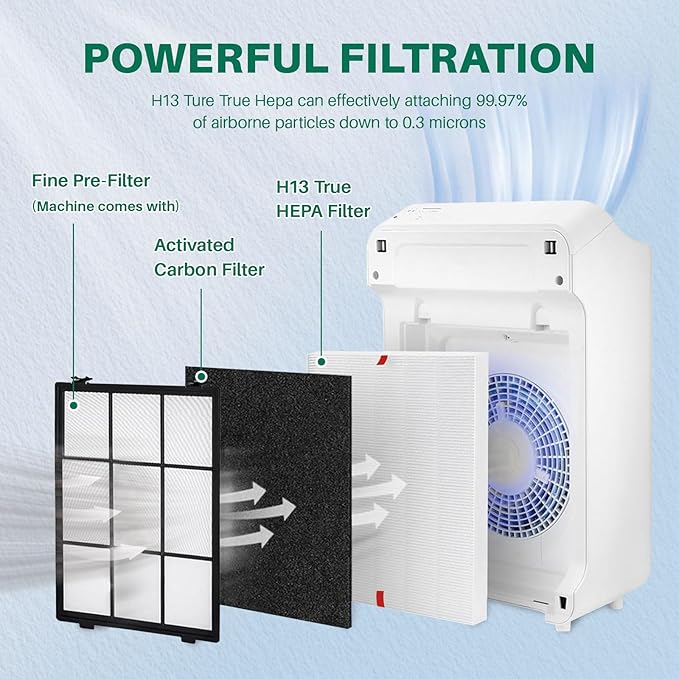 10 Pack C545 Replacement HEPA Filter Compatible with Winix C545 | Ture HPEA Filter S Only, Part number 1712-0096-00 and 2522-0058-00, 2 True HEPA Filter + 8 Activated Carbon Filters