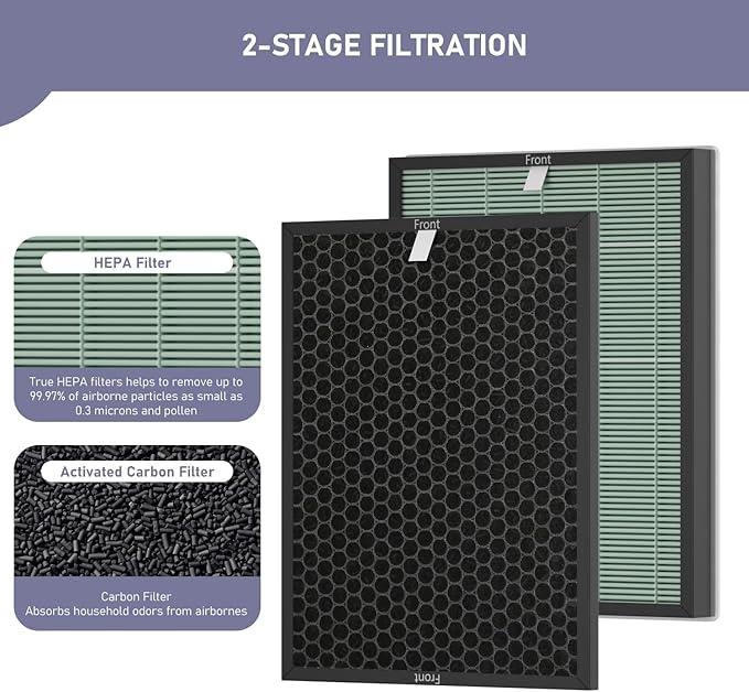 Ontheone Air Bio-GS 2.0 Filter Replacement Kit Compatible with Rab-bit Air Bio-GS 2.0 Ultra Quiet Air Cleaner Purifier Model SPA-550A and SPA-625A, includes Carbon and HEPA Filter, 2 Set