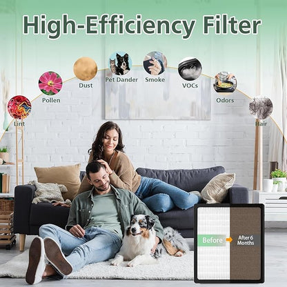 Replacement Filters D for Idylis IAF-H-100D AC-2118 AC-2123 IAP-10-280 IAP10280 Idylis Air Purifiers D Type， Includes 2 HEPA Filter & 4 Carbon Filters
