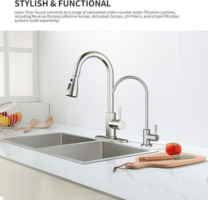 Kitchen Sink Faucet with Pull - Down Sprayer, 2 - Handle 3 - in - 1 Kitchen Sink Filter Faucet, Cold and Hot Mixer Drinking Water Faucet (Filter Faucet, Brushed Nickel)