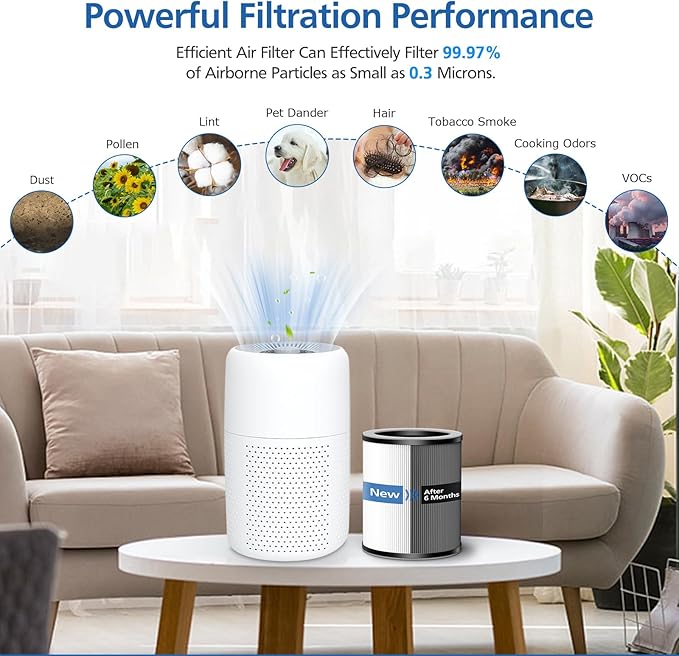 2 Pack Max/Mage/Mage Pro Replacement Filter Compatible with Afloia MAX/MAGE/MAGE PRO Purifier and Sans/Air-Honati/Compass Home Smart/Taylor Swoden/Cuckoo CAC-J1510FW/Rosewill RHAP-20001/20002