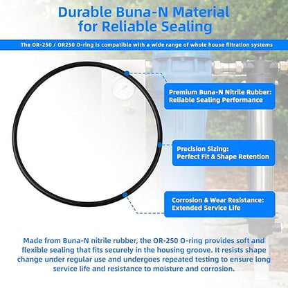 OR-250 o-Ring Compatible with Culligan Water Filter Housing WH-HD200-C, 3M 3WH-HD-S01, Dupont WFAO100,Replacement for Dupont WFAO100,HF45-ORING(2 Pack)