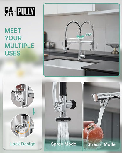 Fapully Chrome Kitchen Faucet with Sprayer,Commercial Single Handle Pull Down Kitchen Sink Faucet