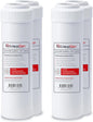LiquaGen Activated Alumina + Carbon + KDF-55 Replacement Water Filter Cartridge – Helps Manage Fluoride, Chlorine & Taste, Refillable 2.5" x 10", 2.5" x 20", 4.5" x 10", 4.5" x 20" (4, 2.5" x 10")