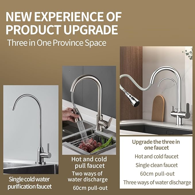 Kitchen Sink Faucet with Pull - Down Sprayer, 2 - Handle 3 - in - 1 Kitchen Sink Filter Faucet, Cold and Hot Mixer Drinking Water Faucet (3-in-1 Filter Faucet, Chrome)