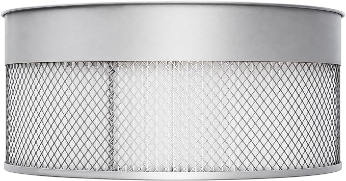 BUCKTOOL 2-Micron Dust Filter, Canister Filter Kit for Dust Collectors DC30CW & DC30A