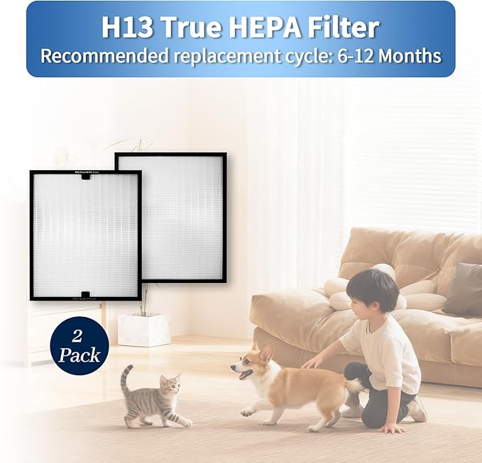 HEAP 550 Replacement Filter, HEPA Air Filter 16x19x2 inch, Compatible with WEWEAL Commercial Air Scrubber & Purifiers, Ideal for Water Damage Restoration (2 Pack)