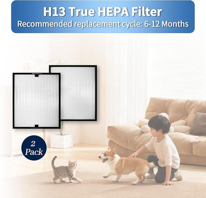HEAP 550 Replacement Filter, HEPA Air Filter 16x19x2 inch, Compatible with WEWEAL Commercial Air Scrubber & Purifiers, Ideal for Water Damage Restoration (2 Pack)