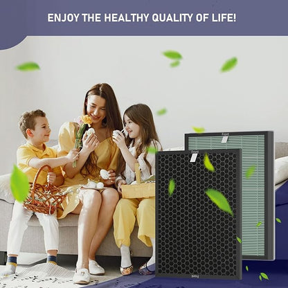 Ontheone Air Bio-GS 2.0 Filter Replacement Kit Compatible with Rab-bit Air Bio-GS 2.0 Ultra Quiet Air Cleaner Purifier Model SPA-550A and SPA-625A, includes Carbon and HEPA Filter, 2 Set
