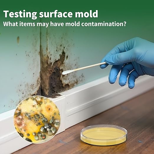 Mold Test Kit for Home - 1 Simple Mold Test kit,Test HVAC System,Surfaces & Indoor Air Quality,DIY Mold Detector at Home,Includes Detailed Mold Identification Guide,air Tester
