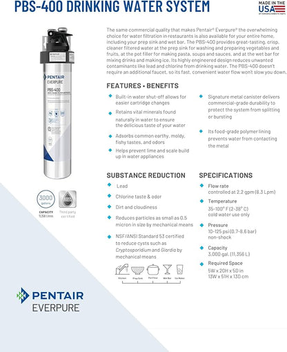 Pentair Everpure PBS-400 Drinking Water System, EV927085, Ideal for use in Prep Sink and Wet Bar, Includes Filter Head, Filter Cartridge, All Hardware and Connectors