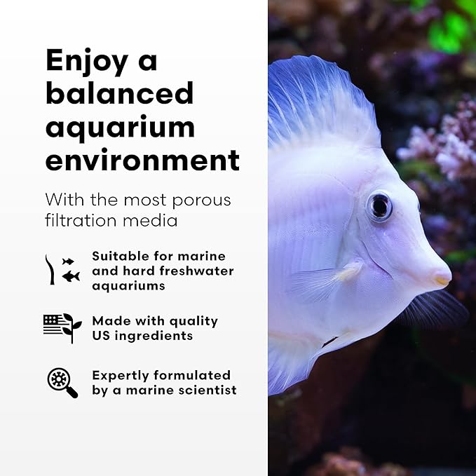 Brightwell Aquatics - Xport-BIO Block Aquarium Filter - Biological Filtration Media for Bacteria Growth, Nutrient Control & Control of Unwanted Nutrients - Aquarium Water Treatments, 4 Pack, 1.5 inch