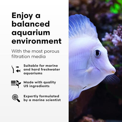 Brightwell Aquatics - Xport-BIO Block Aquarium Filter - Biological Filtration Media for Bacteria Growth, Nutrient Control & Control of Unwanted Nutrients - Aquarium Water Treatments, 4 Pack, 1.5 inch