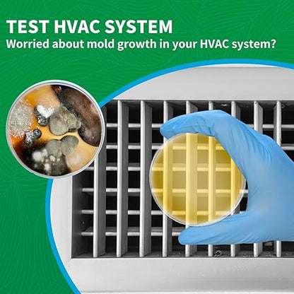 Mold Test Kit for Home - 1 Simple Mold Test kit,Test HVAC System,Surfaces & Indoor Air Quality,DIY Mold Detector at Home,Includes Detailed Mold Identification Guide,air Tester