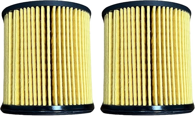 iFJF R12H (R12T Upgrade) Fuel Water Separator Filter Element 10 Micron Only Replacement for Our Own R12H Assembly for Marine or Automotive Replaces S3240 120AT NPT ZG1/4-19 (2Pcs)