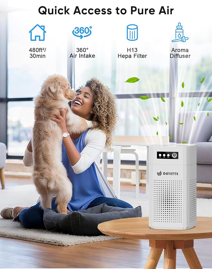 Air Purifiers for Bedroom, DAYETTE H13 True HEPA Air Filter Purifier for Small Room Up to 480 Ft²/30min, Qiuet Sleep Mode with Aroma Pad, Small Portable Air Purifier with USB Cable