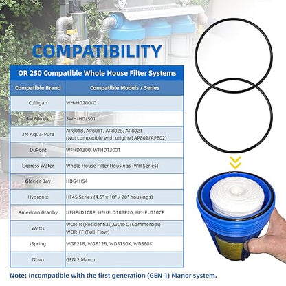 OR-250 o-Ring Compatible with Culligan Water Filter Housing WH-HD200-C, 3M 3WH-HD-S01, Dupont WFAO100,Replacement for Dupont WFAO100,HF45-ORING(2 Pack)