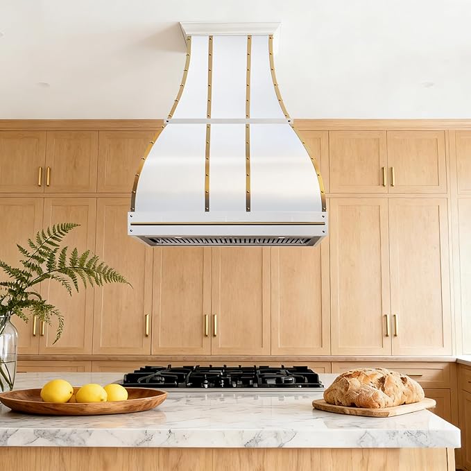 CHETTO C Stainless Steel Range Hood Cover with 4-Speed Vent Hood Insert Custom Handcrafted Metal Kitchen Fan with Towel Rack LED Light 60"W x27"D x36"H White Island Mount