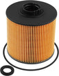 8982402800 Fuel Filter Kit Fit for MULTIQUIP DIS185SSI4F Selwood S 160 ECO 150 S Isuzu 4LE2T 4LE2X Engines Clark C 30 D 2003-2018, Replace 5200017727 36904 FF42193 SN25158 PF46057