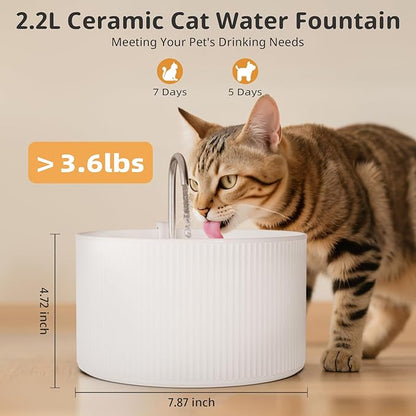 Ceramic Cat Water Fountain, 2.2L/74oz Pet Water Fountain for Cats and Dogs, Automatic Pet Drinking Fountain with Pump, Filter & Foam (White)