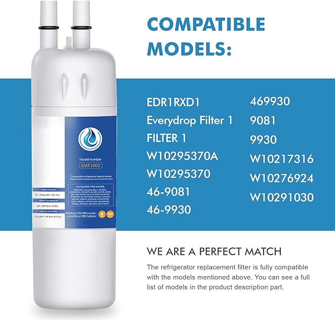 Replacement for EDR1RXD1, W10295370A, WHR1RXD1, Compatible with Kenmore 46-9081, 9081, 46-9930, 9930, P4RFWB, P8RFWB2L, W10276924, W10291030-3 Packs