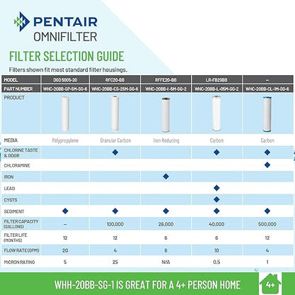 Pentair OMNIFilter Whole Home 20" Heavy-Duty Big Blue Water Filtration System with Pressure Relief, Black/Blue