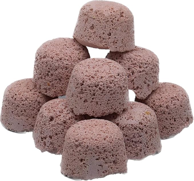 Brightwell Aquatics Xport BIO Cubes - Ultra-Porous Biological Filter Media for Filtration in Marine and Freshwater Aquariums, 1000-ml (XPCubeBIO1000)