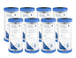 Pentair Pentek R50-BB Big Blue Sediment Water Filter, 10-Inch, Whole House Pleated Polyester Filter Cartridge, 10" x 4.5", 50 Micron, Pack of 8, White