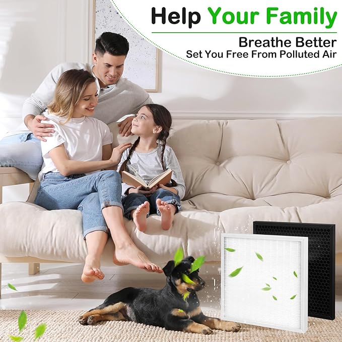 4-Pack X-2480A Replacement Filters Compatible with Xpower Pro Clean X-2480A and X-2580 Mini Air Purifiers 2 HEPA Filters + 2 Activated Carbon Filters Upgraded Version (2)