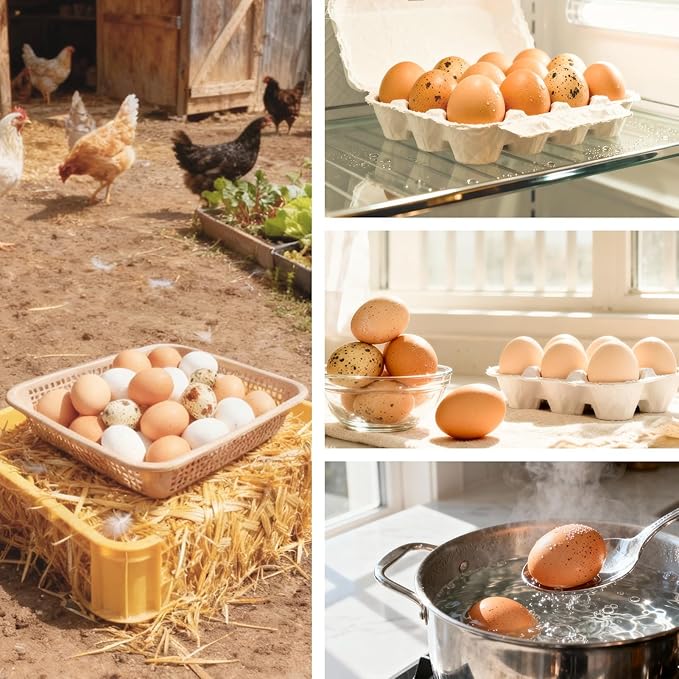 Egg Washer Cleaner for Fresh Eggs, Universal Egg Wash and Brush Scrubber for Cleaning Eggshell,Cute Chicken Coop Essentials, 1pcs
