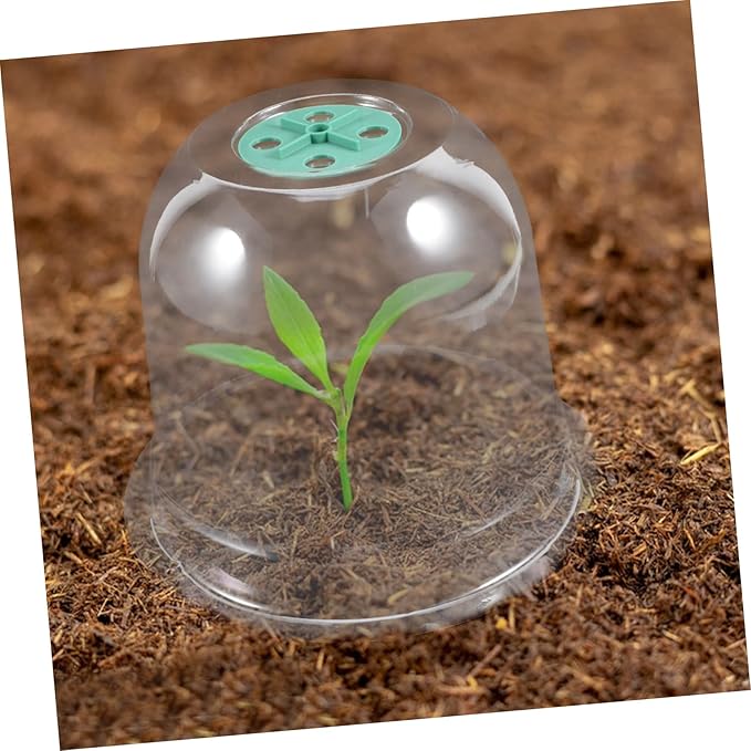 2pcs Small Garden Cloche Clear Plastic Humidity Domes for Mini Greenhouse Protectors with Optimal Airflow and Heat Insulation for Winter Outdoor Use