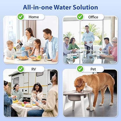 iSpring CKC1C Countertop Drinking Water Filtration System with Carbon Filter, 2.5" x 10", Clear