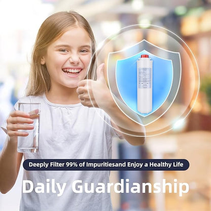 2 Packs Water Filter Replacement for Elkay 51300-C, Filters Compatible with Elkay EZH2O Bottle Filling Stations (No Chip)