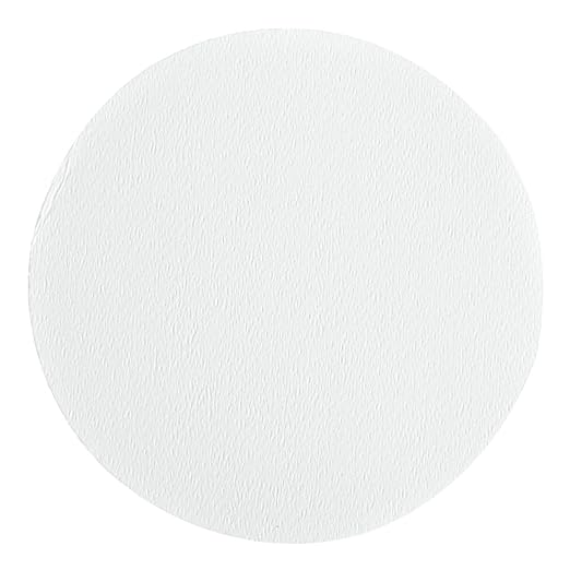 Whatman 10411413 White PTFE Membrane Filter Circle, 50mm Diameter, 0.2 Micron (Pack of 50)