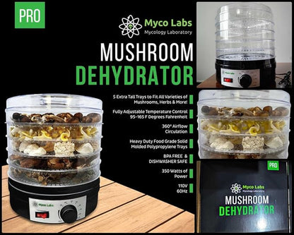 350 Watt Mushroom Dehydrator with Adjustable Temperature Control and Extra Tall Trays