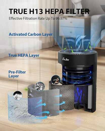 FreAire H13 HEPA Filter, H13 True HEPA Air Filter Replacement For Dust Smoke Pollen Dander Smell (Black)