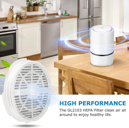 GL2103 Replacement Filter for RIGOGLIOSO GL2103, JINPUS GL-2103, LTLKY 900S Air Purifier, 2-in-1 HEPA Filters and Activated Carbon Filters (3-Pack)