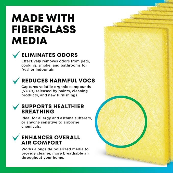 Filterbuy 16x25 Air Cleaner Filter Replacement Pads for Respicaire CG MicroClean 95, Totaline CG1000 Star Series, and More (4-Pack)