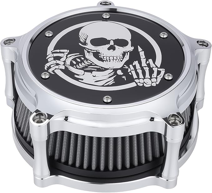 Motorcycle Air Filter Skull Style Air Cleaner with Filter Sock Dustproof Protective Cover Kit for Harley Touring 2000-07 Softail 2000-15 Dyna 2000-17, Excludes 2017 FXDLS (Chrome)