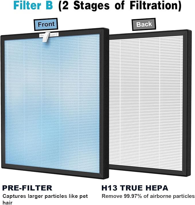 HSP001 True HEPA Replacement Filter Compatible with HSP001 Air Clean-er Purifier 4-in-2 filters of HEPA Filter, Activated Carbon and Cold Catalyst, 2 Packs
