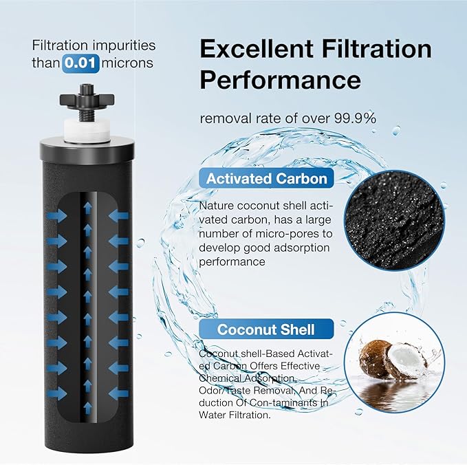 Black Purification Elements Replacement for Berkey® BB9-2® & Big Berkey® Gravity Water Filter System, Compatible with ProOne® Big+ & Purewell Filters, High-Efficiency Carbon Elements (2 Pack)