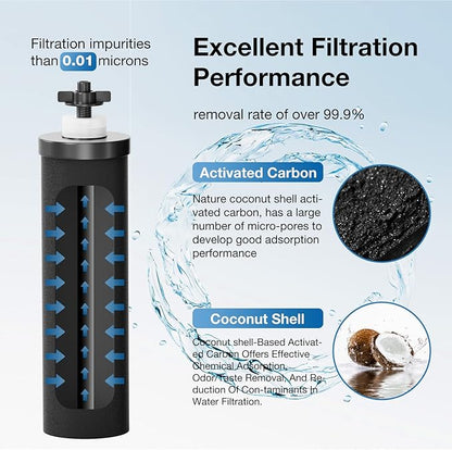 Black Purification Elements Replacement for Berkey® BB9-2® & Big Berkey® Gravity Water Filter System, Compatible with ProOne® Big+ & Purewell Filters, High-Efficiency Carbon Elements (2 Pack)